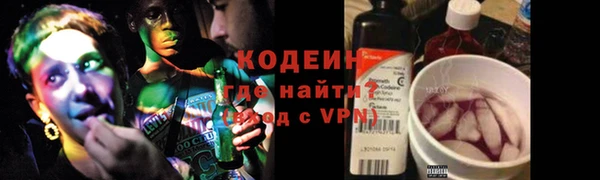 apvp Алзамай
