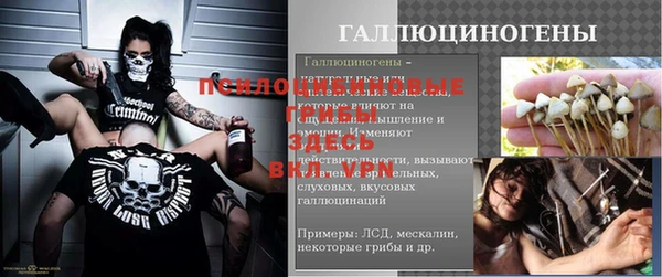 apvp Алзамай