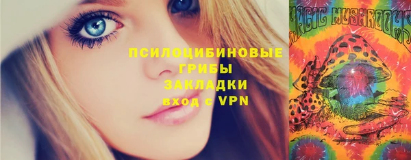 apvp Алзамай